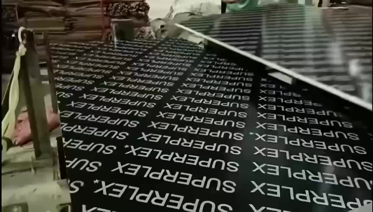 Film-faced plywood boards on the production line